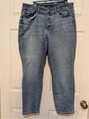 Judy Blue Boyfriend Fit Jeans 16W